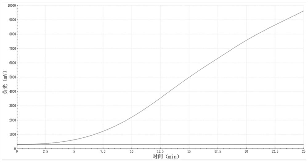 Primer and probe combination for RF-RAA detection of duck circovirus and application thereof