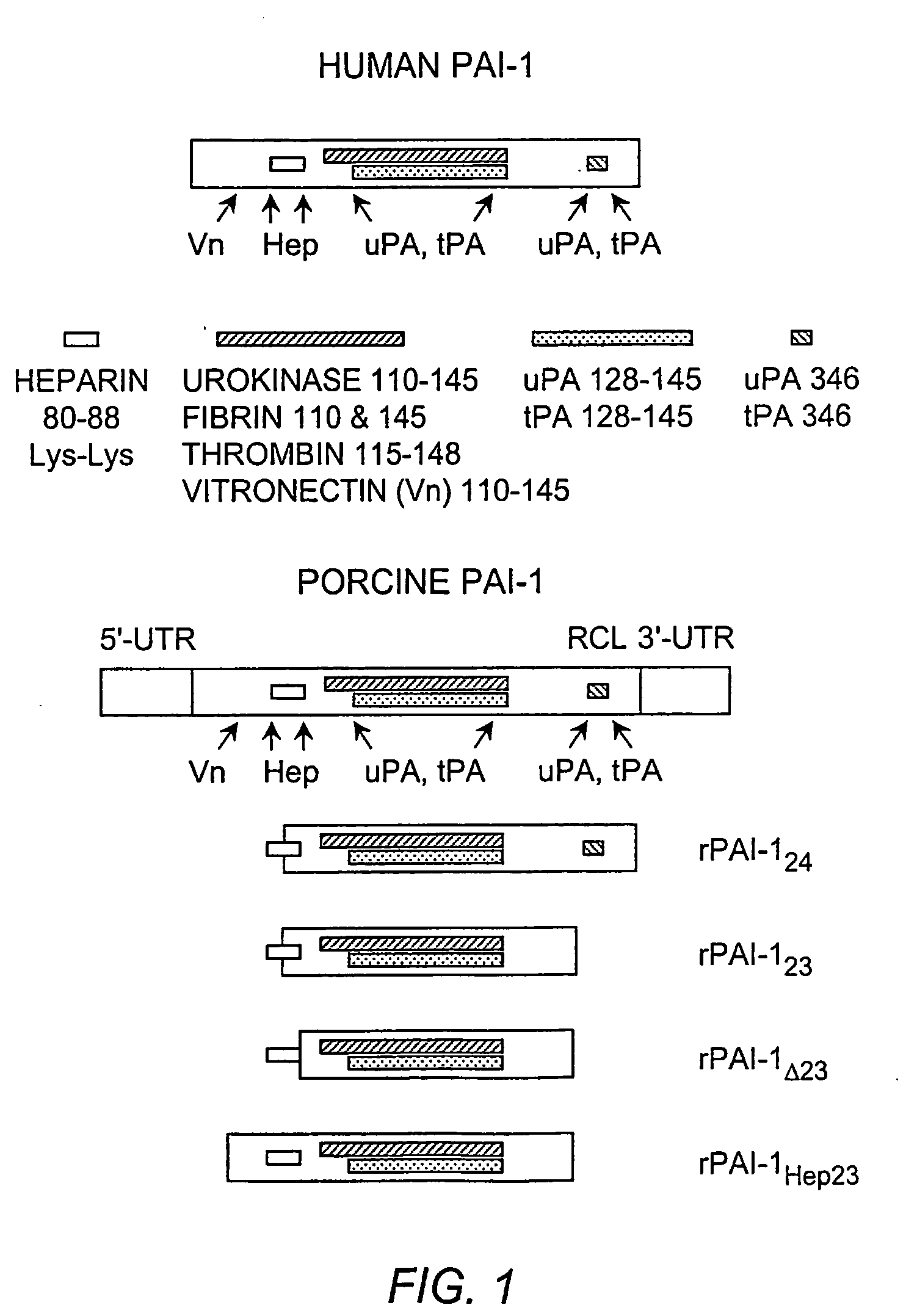 Methods for modulating angiogenesis via vegf