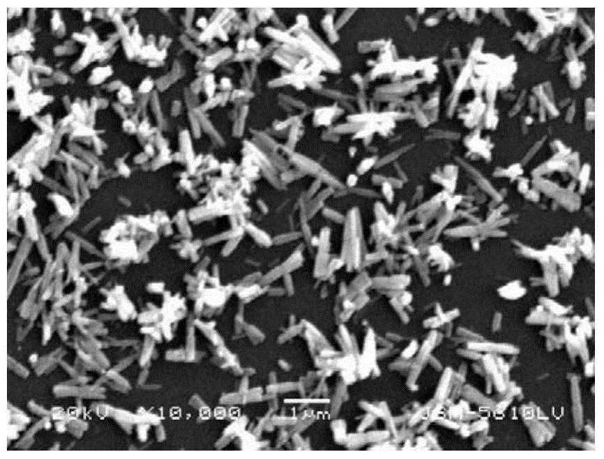 Preparation of zn by molten salt template method  <sub>1‑x</sub> mg  <sub>x</sub> o Nanorod approach