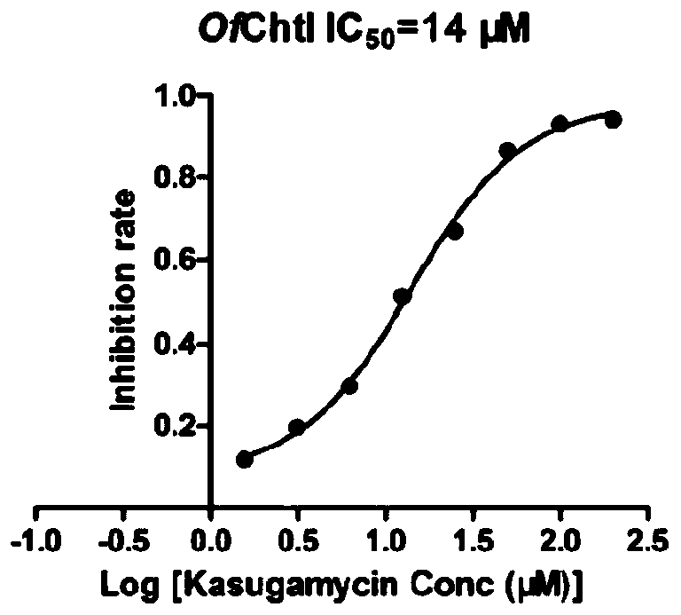Application of Kasugamycin and Its Derivatives as Chitinase Inhibitors