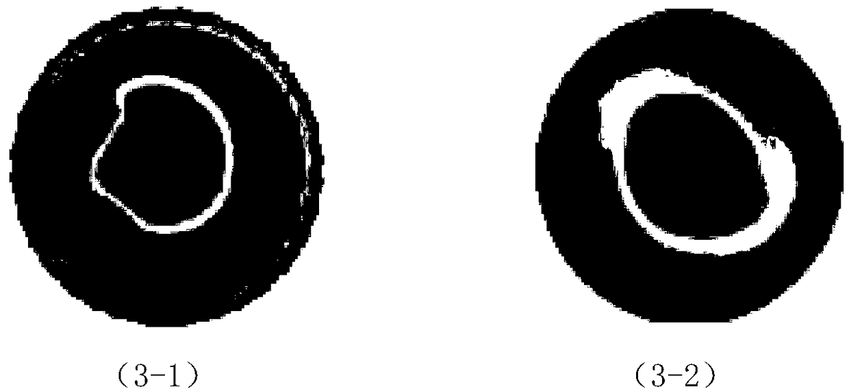 An art flame slice reconstruction method based on radial gradient total variation