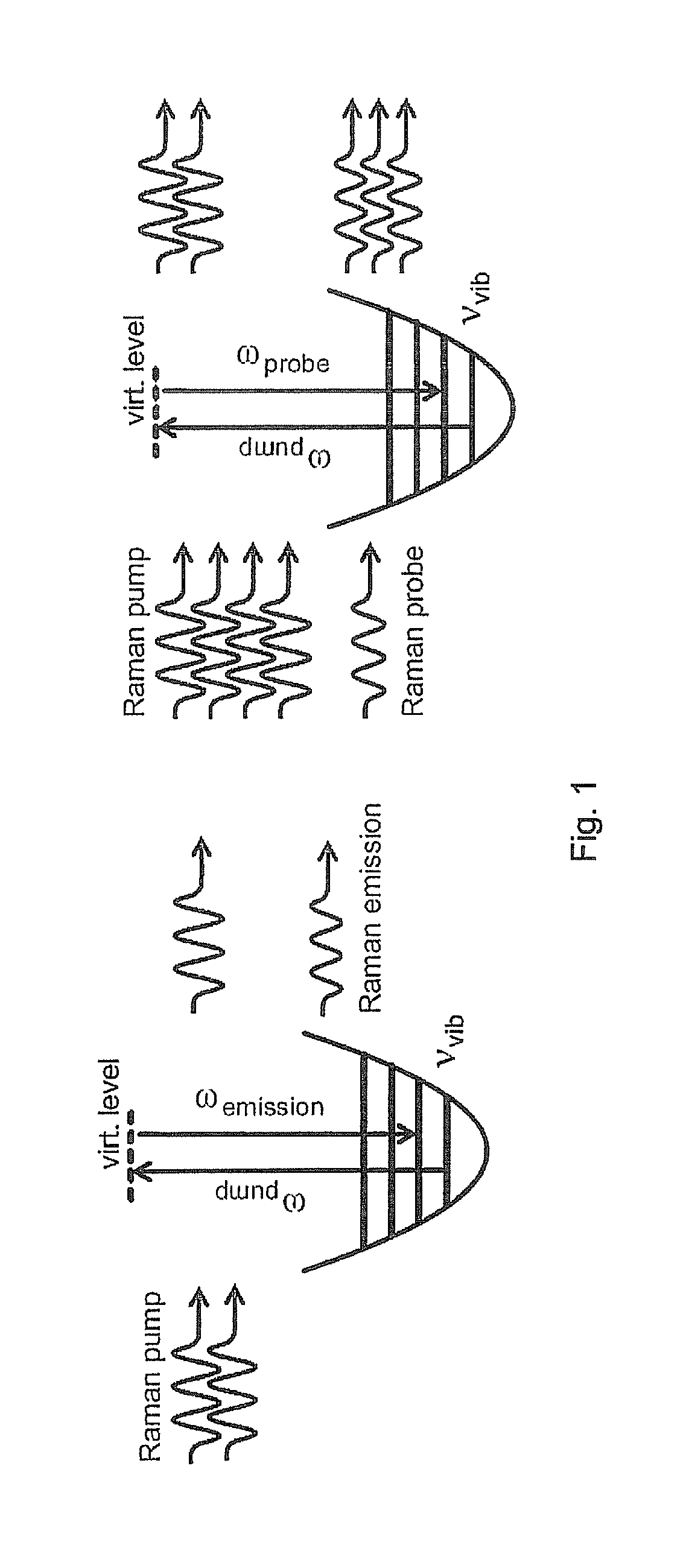 System and method for stimulated raman spectroscopy