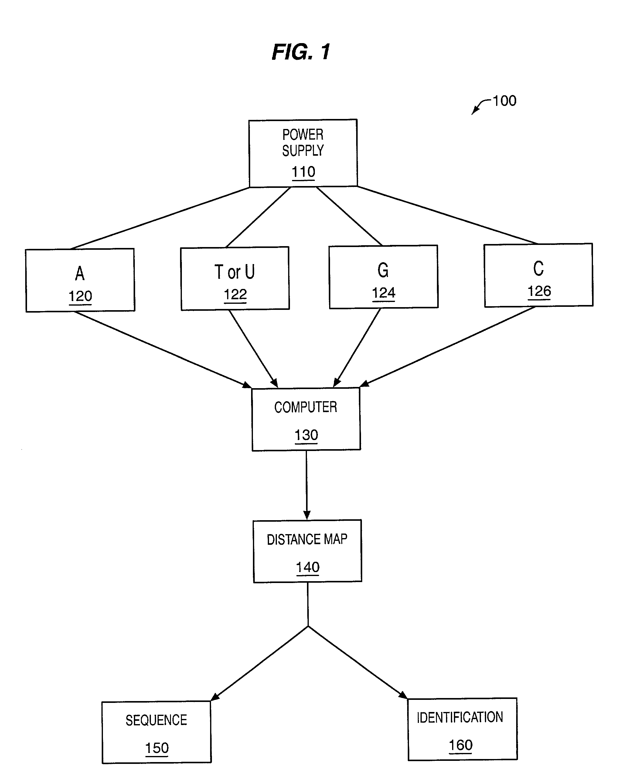 Method and apparatus for nucleic acid sequencing and identification