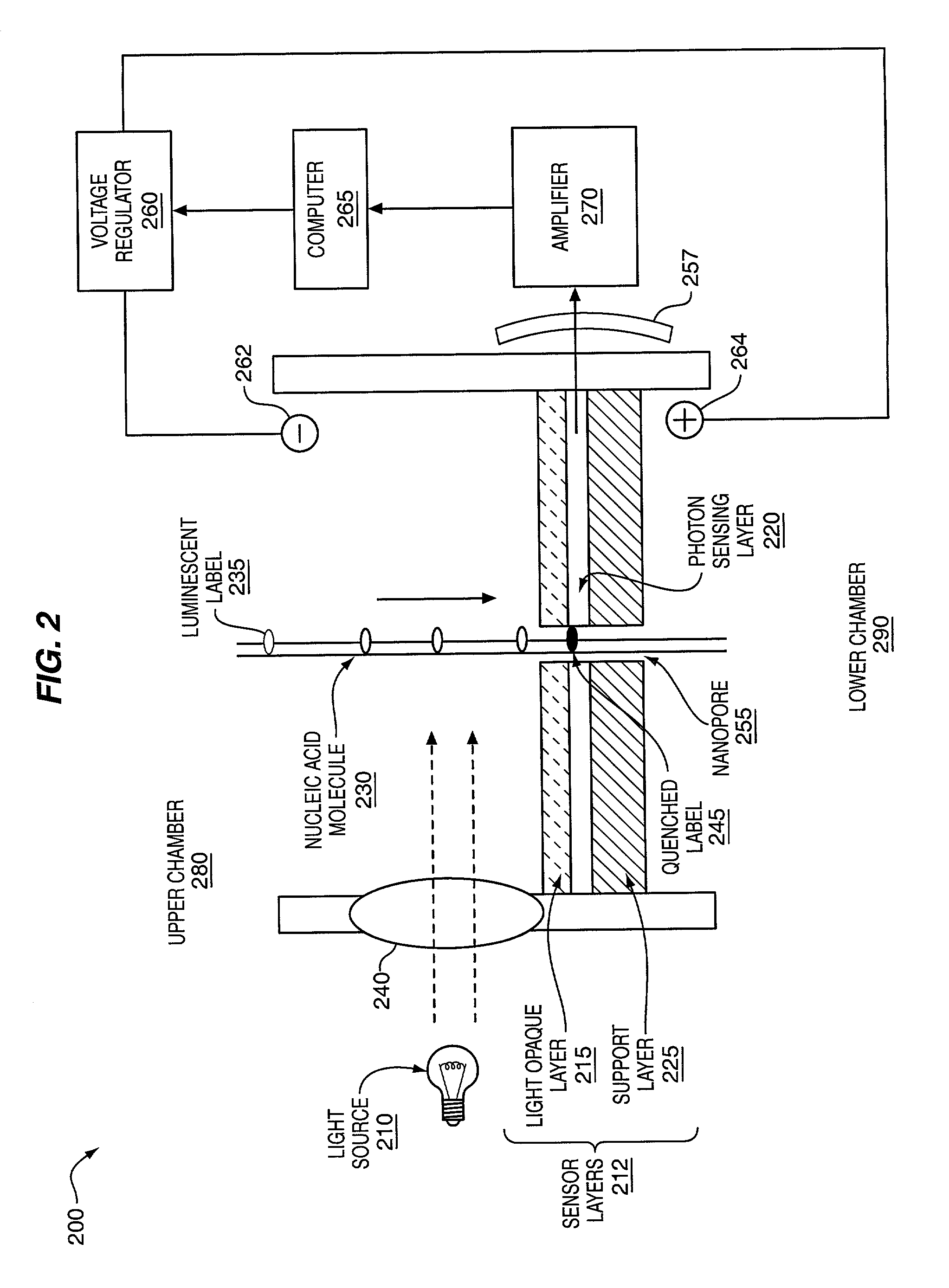 Method and apparatus for nucleic acid sequencing and identification