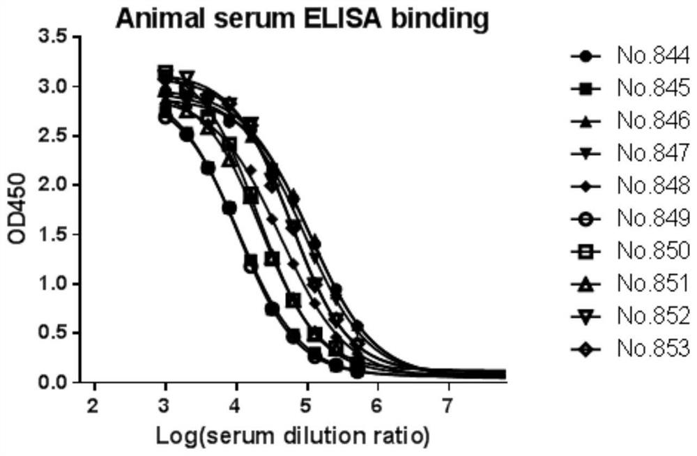 A highly functional anti-human PD-L1 antibody with high affinity, high specificity, and multiple antigen recognition epitopes