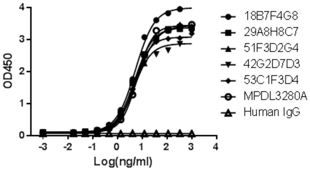 A highly functional anti-human PD-L1 antibody with high affinity, high specificity, and multiple antigen recognition epitopes