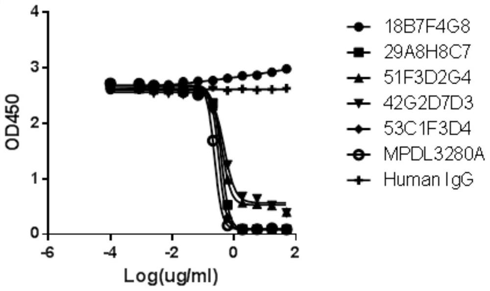 A highly functional anti-human PD-L1 antibody with high affinity, high specificity, and multiple antigen recognition epitopes