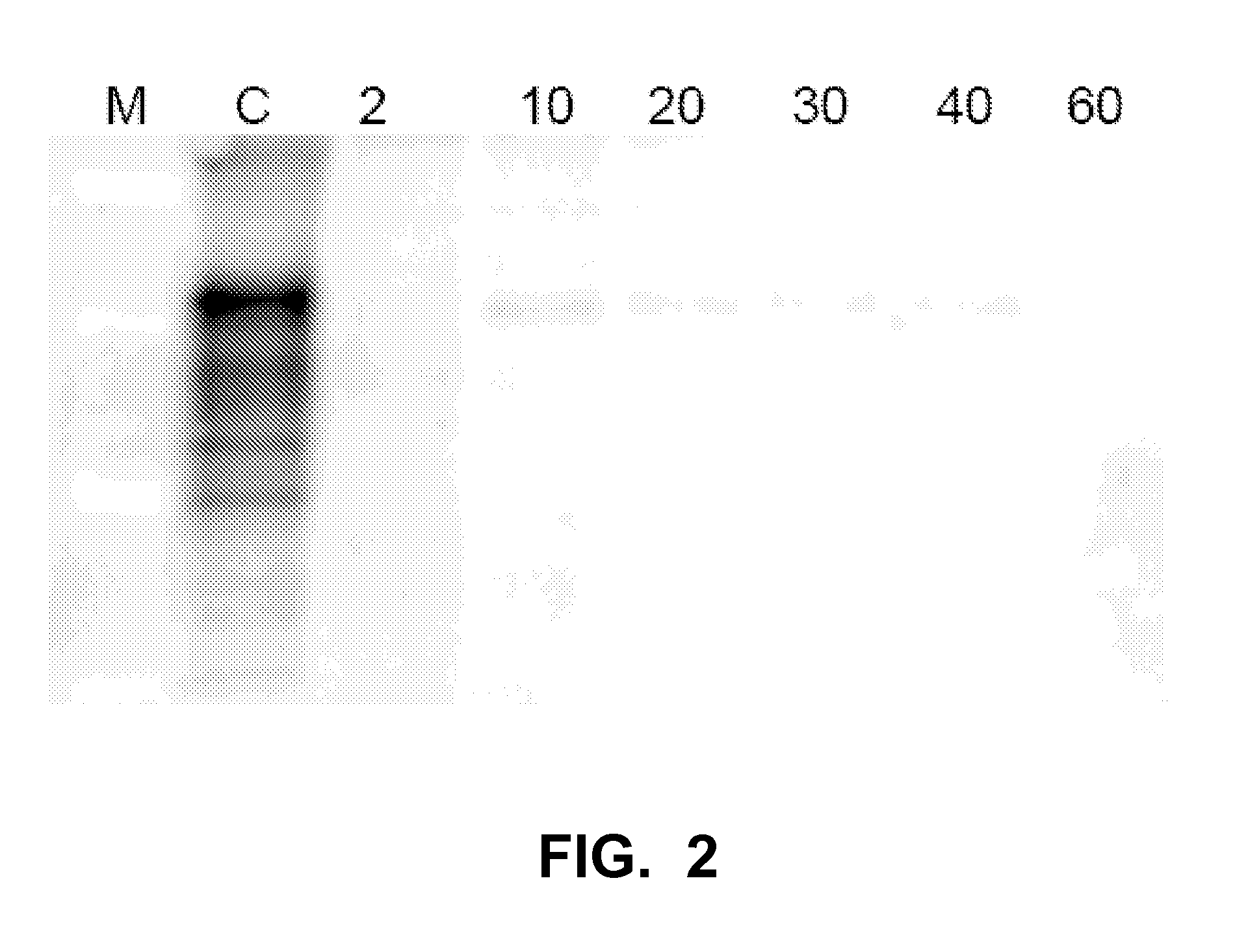 Compositions and methods for prion decontamination