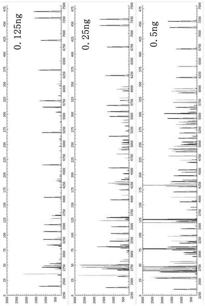 Fluorescent dyes, specific amplification primer pairs and typing methods that can be used for nine-color fluorescent str typing