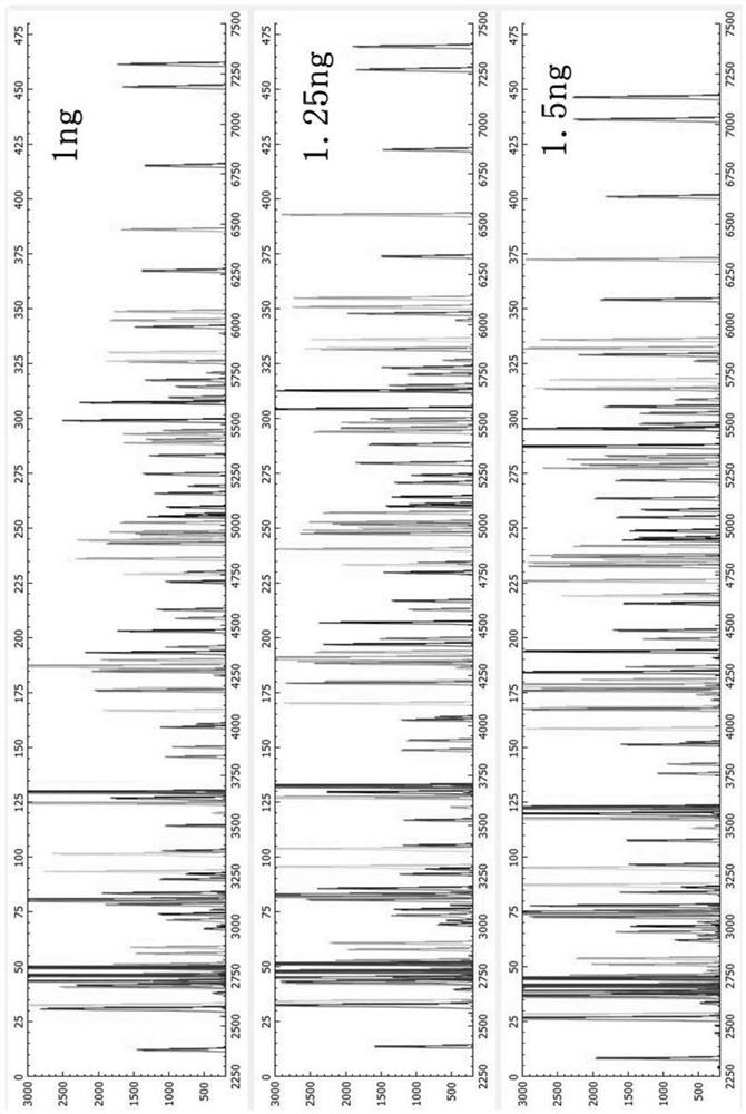 Fluorescent dyes, specific amplification primer pairs and typing methods that can be used for nine-color fluorescent str typing