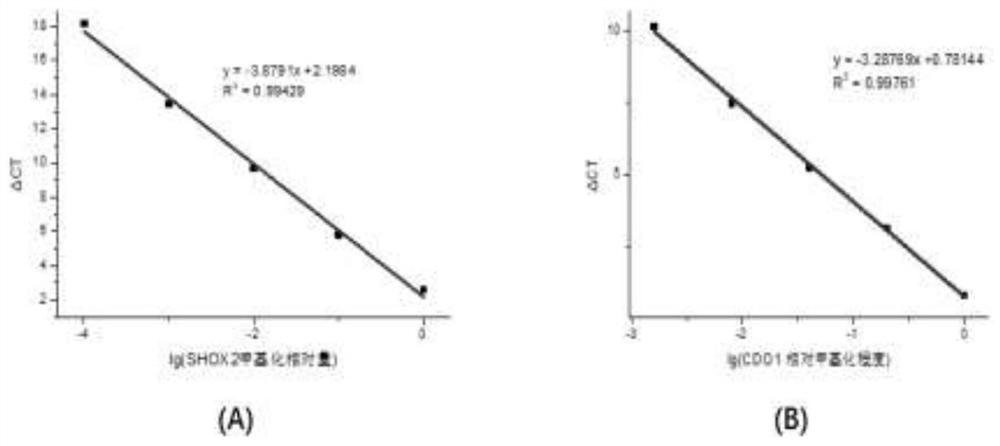 Lung cancer related methylation gene combination in plasma and application of lung cancer related methylation gene combination