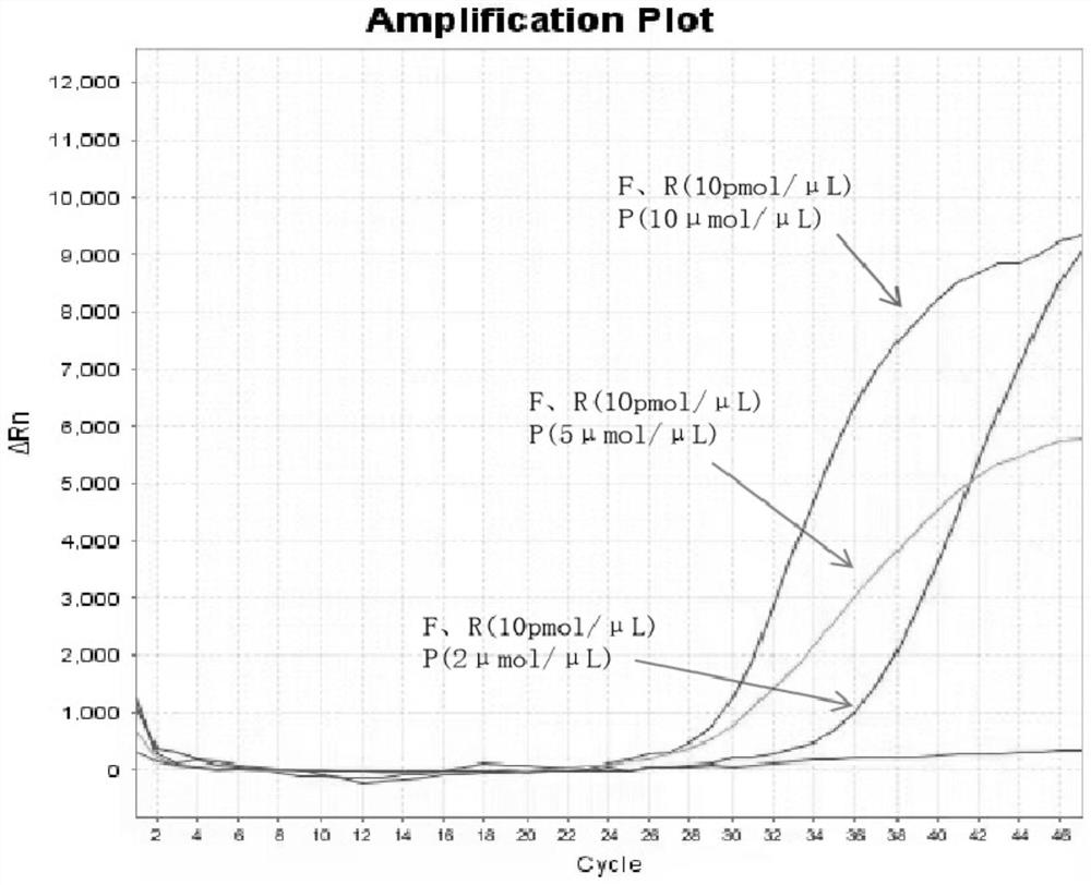 Fluorescent quantitative RT-PCR detection kit for feline infectious peritonitis virus