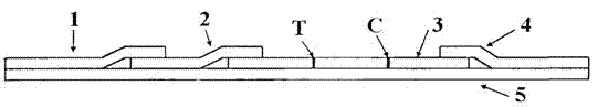 Immunochromatographic test paper for rapidly detecting bladder cancer by utilizing anti-nuclear matrix protein 22 antibodies and preparation method of test paper