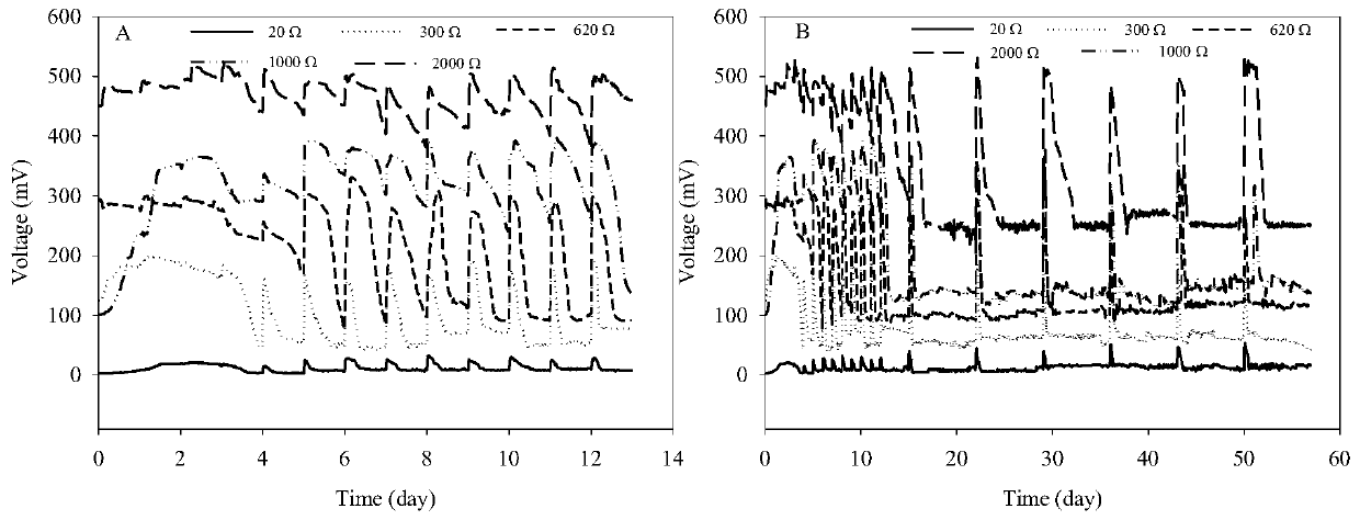 Three-chamber soil microbial fuel cell and method for removing heavy metals