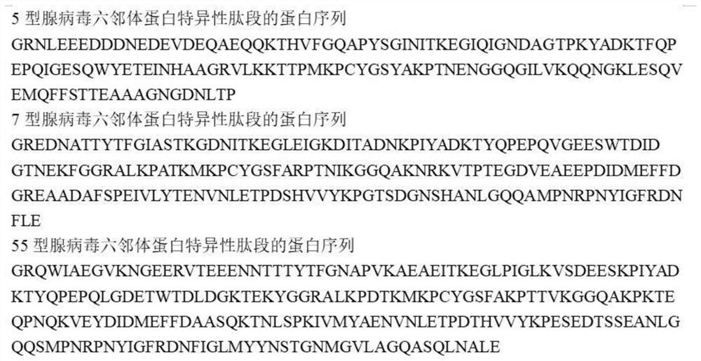 Method for detecting type-5, type-7 and type-55 adenoviruses by using mass spectrum multiple reaction monitoring technology