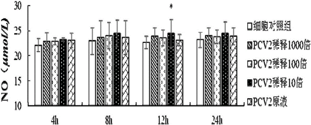 Method for constructing oxidative stress model for porcine circovirus 2 (PCV2) in-vitro-infected porcine alveolar macrophage