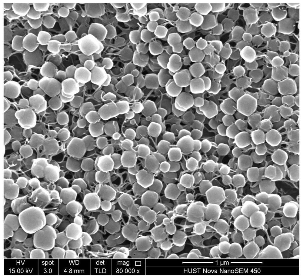 Nanometer material-loaded aramid fiber-coated battery diaphragm, preparation method thereof, and lithium-sulfur battery