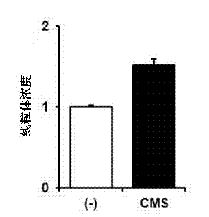 Composition comprising coumestrol or bean extract containing coumestrol