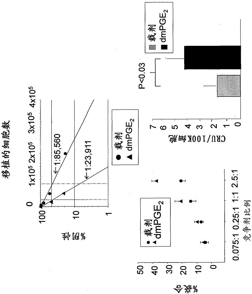 Materials and methds to enhance hematopoietic stem cells engraftment procedures