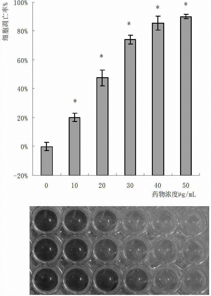 Auricularia polytricha protein extract and anti-tumor application thereof