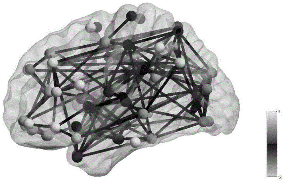 Brain functional network activity level measurement method