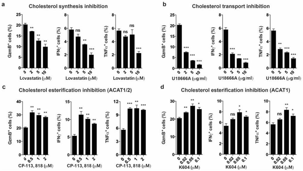 Use of acyl-CoA:cholesterol acyltransferase Acat1 inhibitors