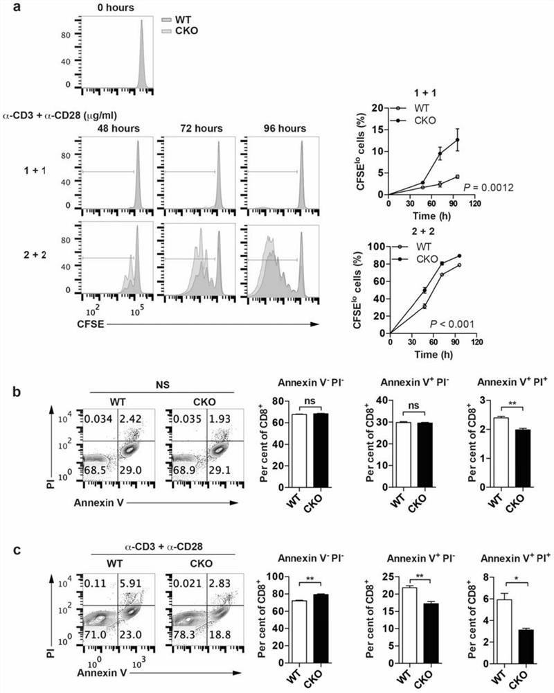 Use of acyl-CoA:cholesterol acyltransferase Acat1 inhibitors