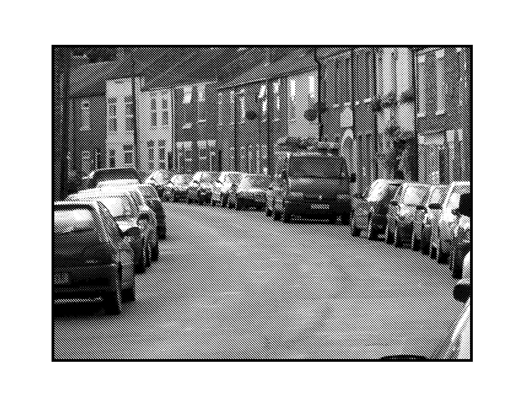 System and method for street-parking-vehicle identification through license plate capturing