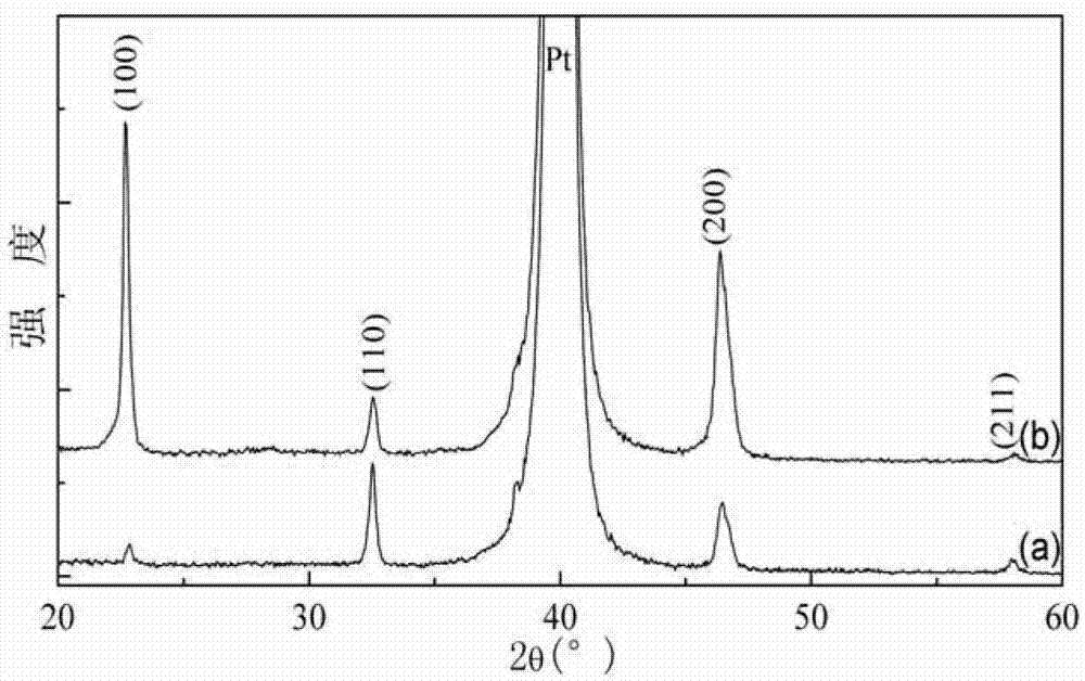 Method for preparing highly oriented (100) lead-free piezoelectric thin film