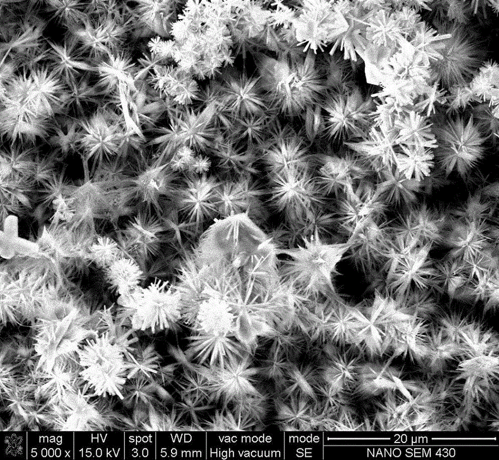 Preparation method and application of nitrogen-doped graphene/nitrogen-doped carbon nanotube/zinc cobaltite composite material