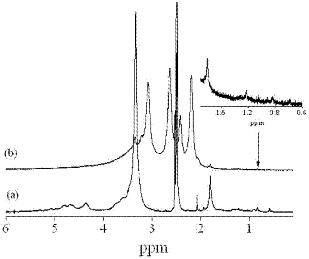 Amphipathic chitosan derivative and preparation method and application thereof
