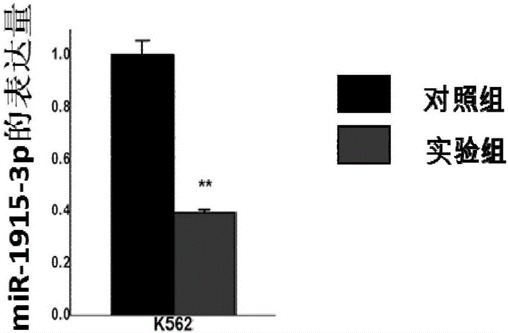 Nucleic acid and application thereof