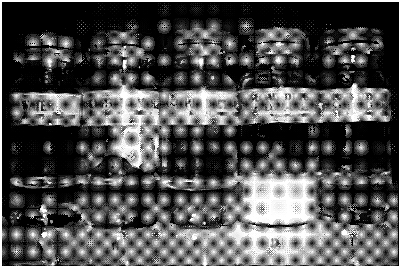 Micelle loaded with Tacrolimus or pharmaceutical salts thereof, lyophilized preparation as well as preparation methods and applications