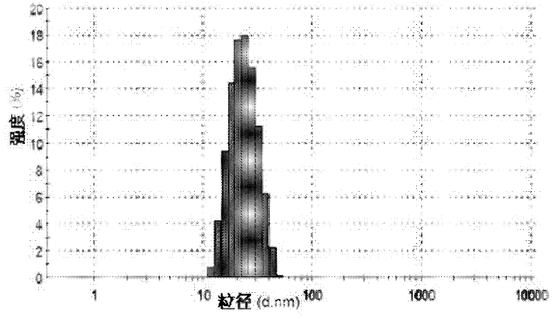 Micelle loaded with Tacrolimus or pharmaceutical salts thereof, lyophilized preparation as well as preparation methods and applications