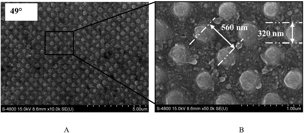 Fabrication method of femtosecond laser direct writing of large-area two-dimensional metal photonic crystal structure