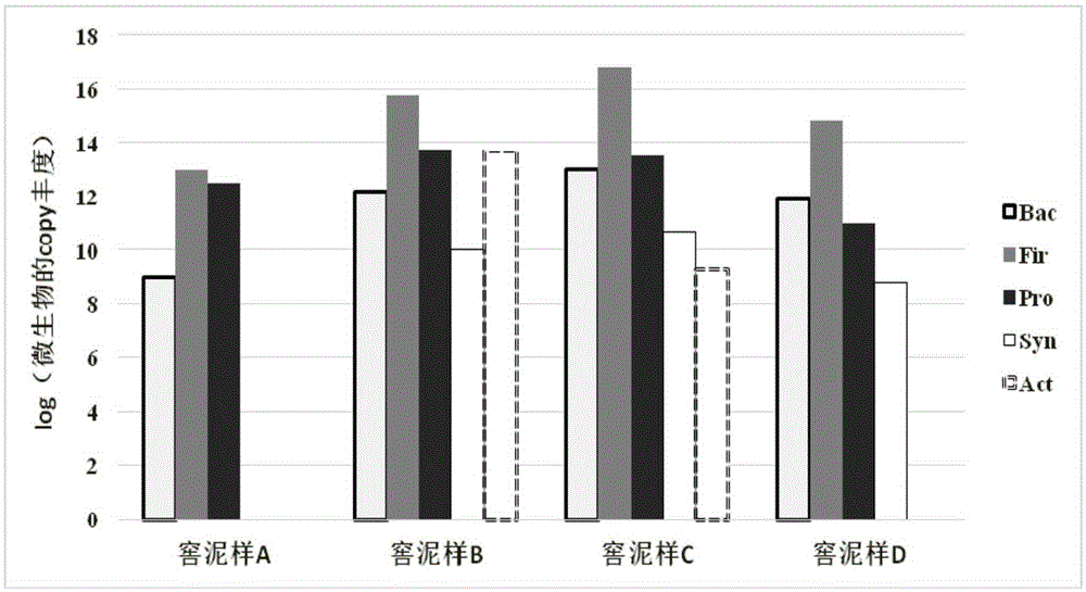Method for fast and quantitatively measuring microbial community composition in fermentation process of baijiu
