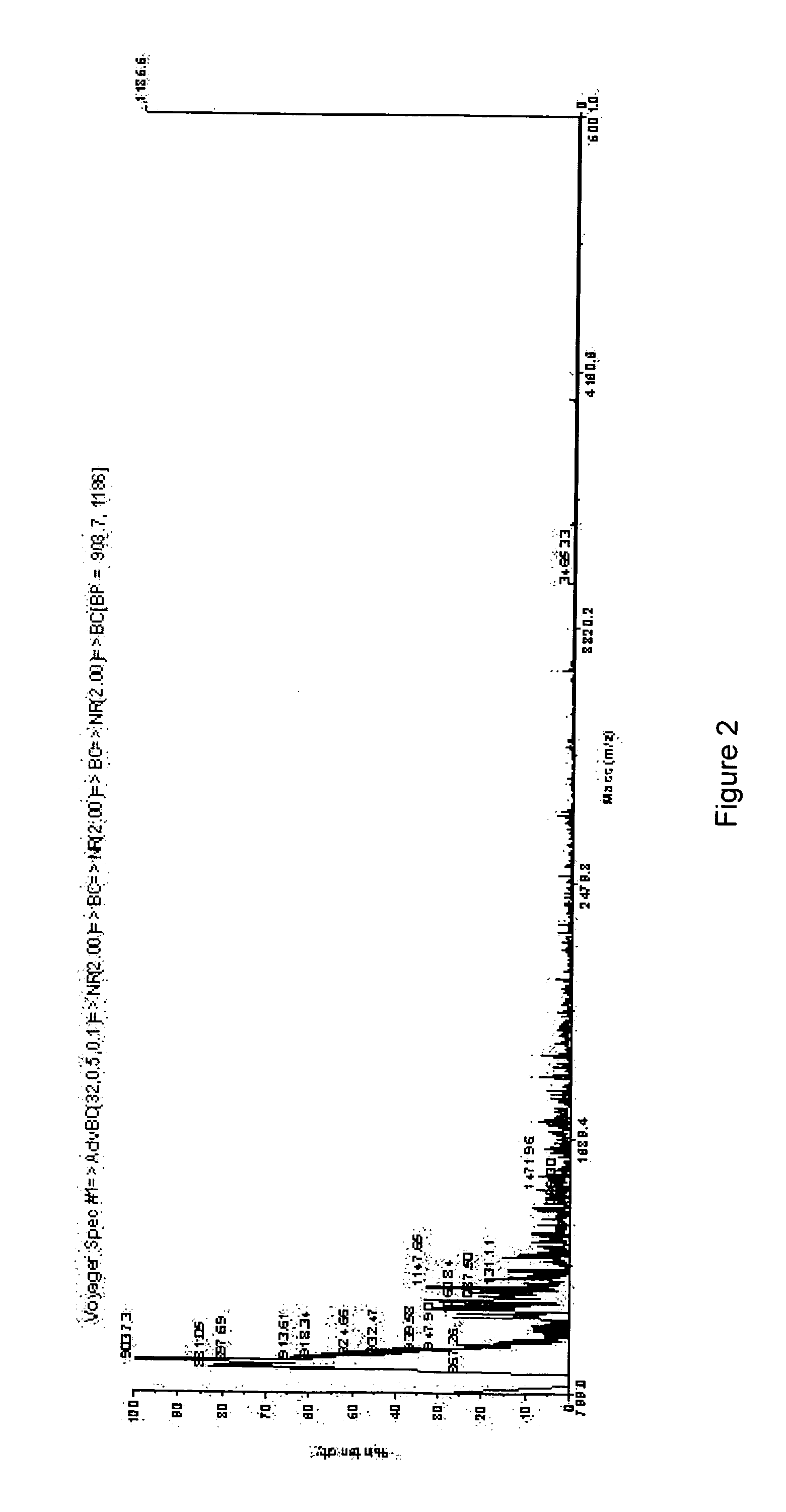 Keratin Hydrolysates, Process for Their Production and Cosmetic Composition Containing the Same