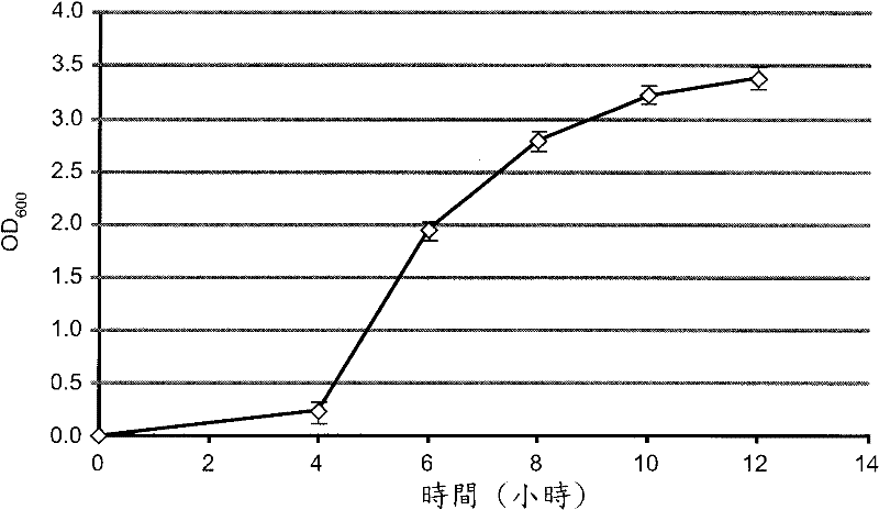 Novel probiotic strain and application thereof