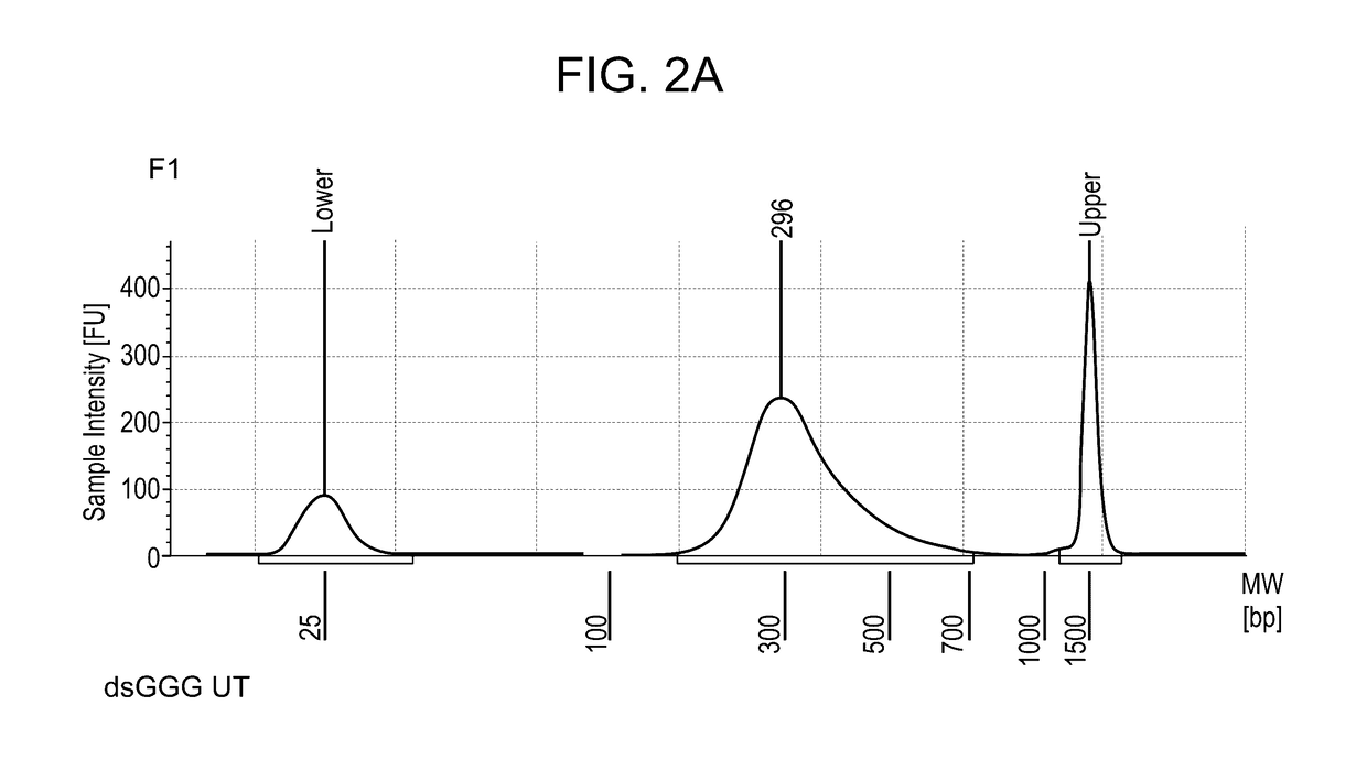 High throughput transcriptome analysis