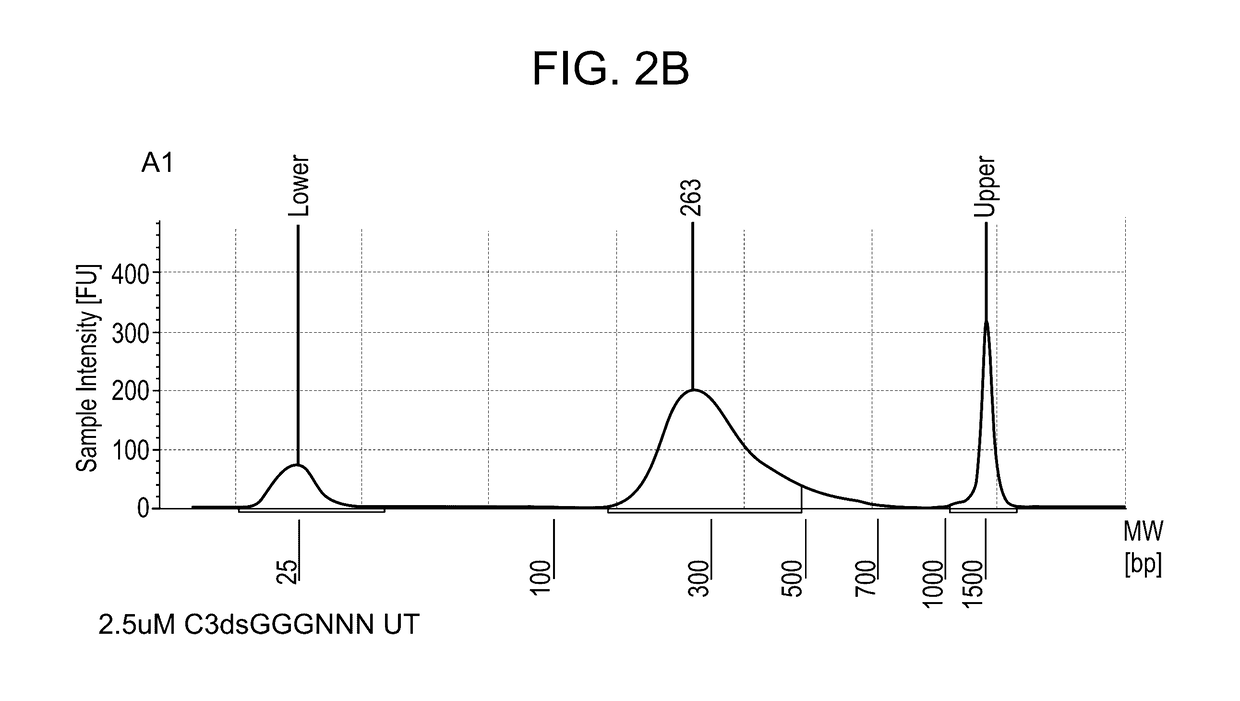 High throughput transcriptome analysis