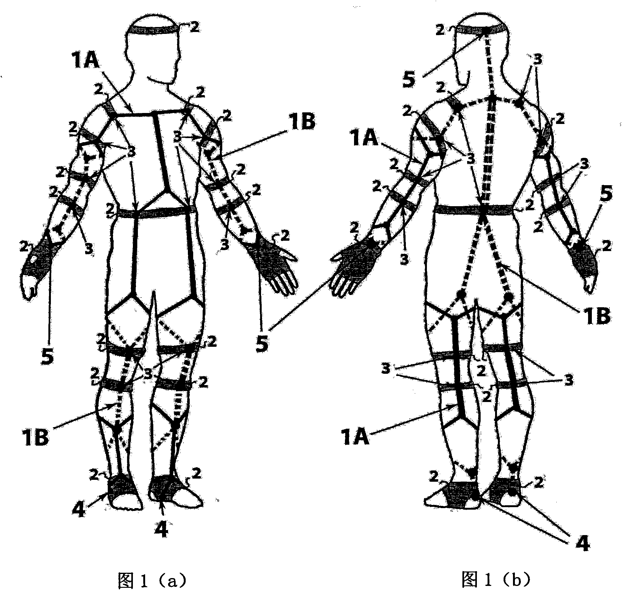 Human body integral elastic sport mode integrator