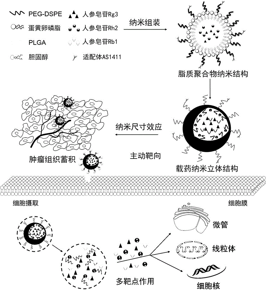 Preparing method and application of ginsenoside-multi-component jointly-loading targeting nanometer system