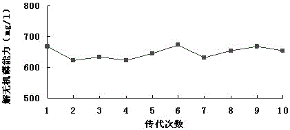 A kind of Citrobacter freundii having the ability to decompose phosphorus and potassium and its application