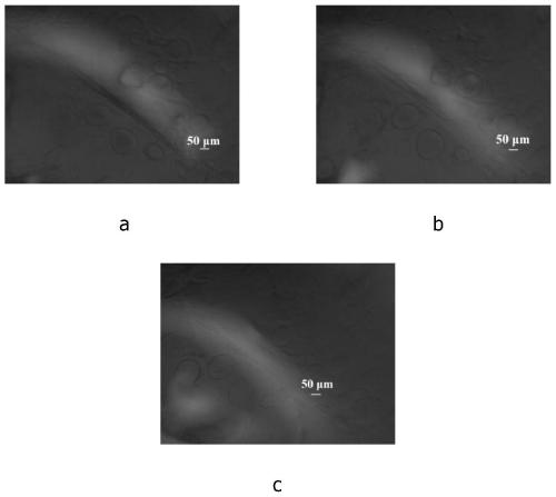 Quick self-repairing betaine type zwitterionic polymer hydrogel and preparation method thereof