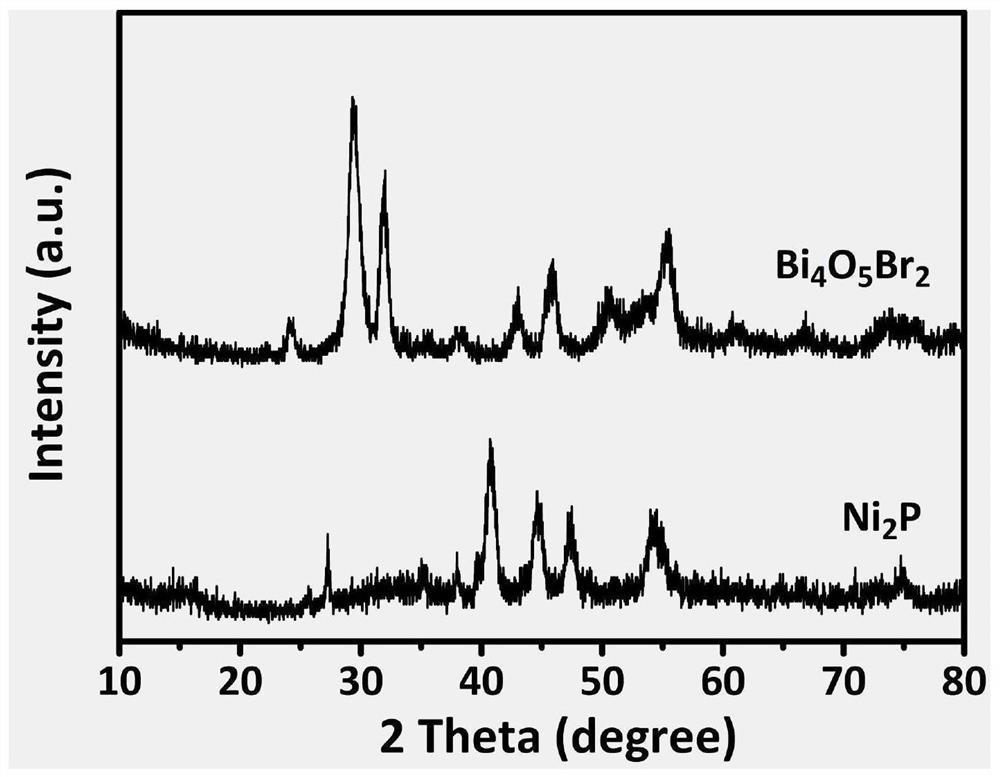 Transition metal phosphide/bismuth oxyhalide photocatalyst as well as preparation method and application thereof