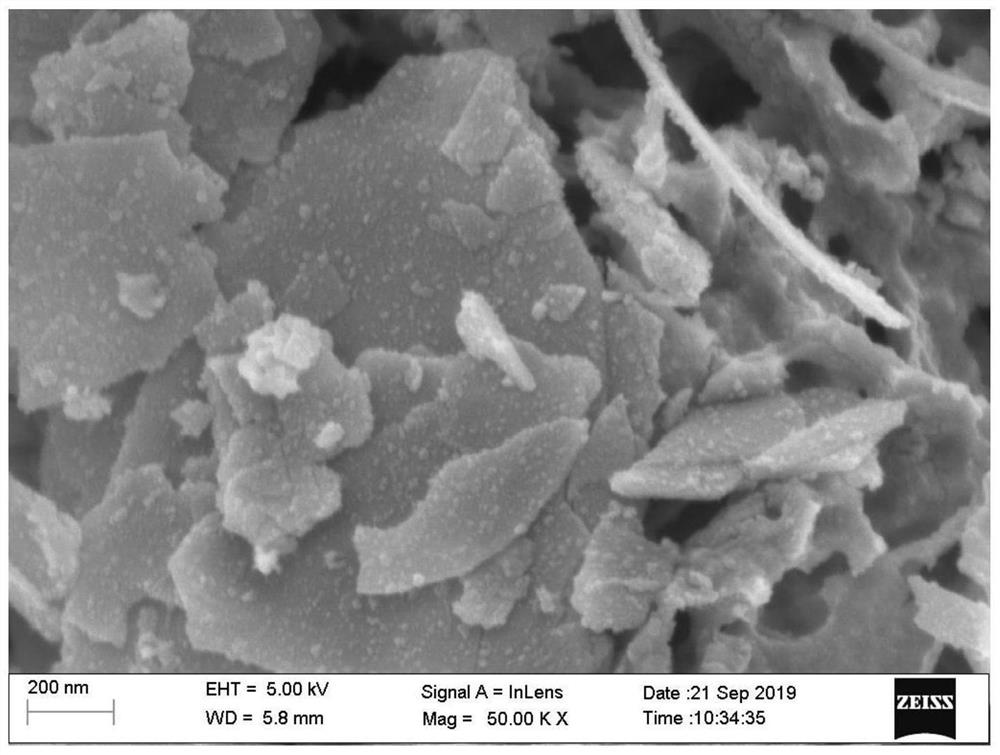 Transition metal phosphide/bismuth oxyhalide photocatalyst as well as preparation method and application thereof