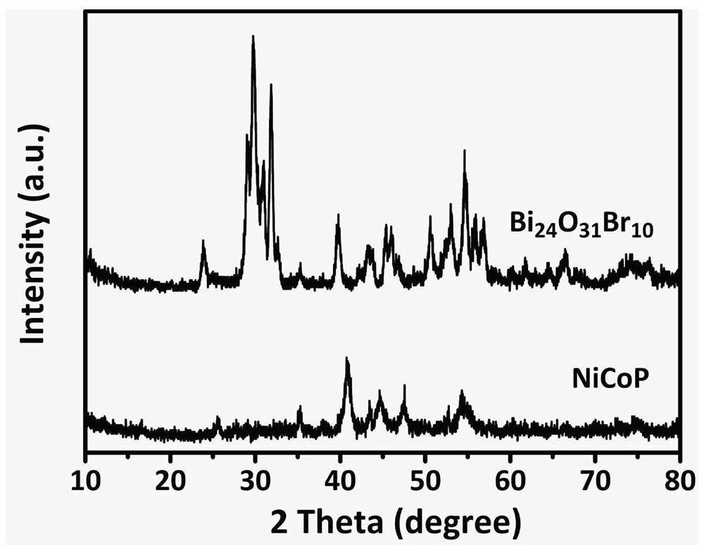 Transition metal phosphide/bismuth oxyhalide photocatalyst as well as preparation method and application thereof