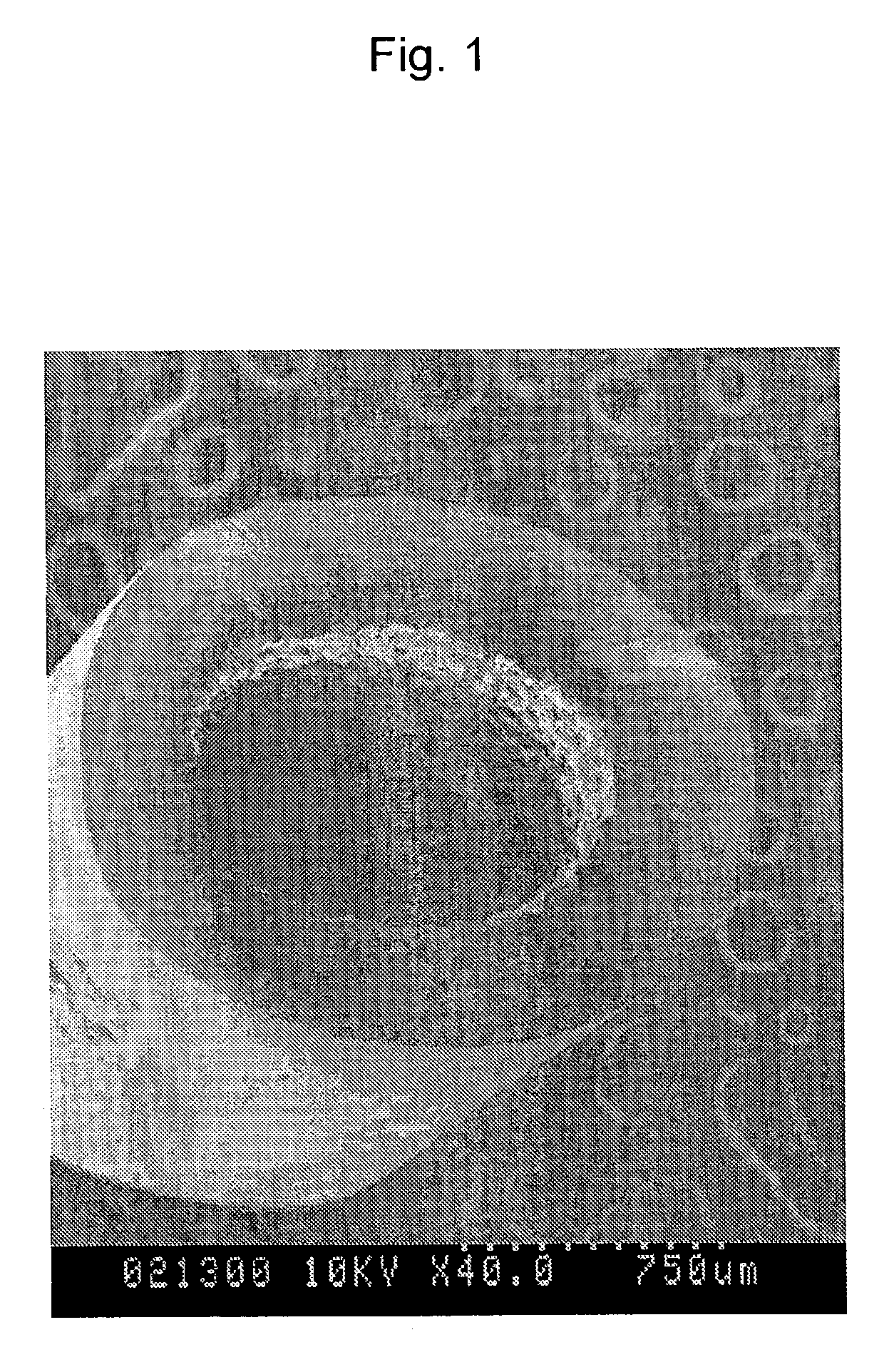 Porous membrane and method for manufacturing the same
