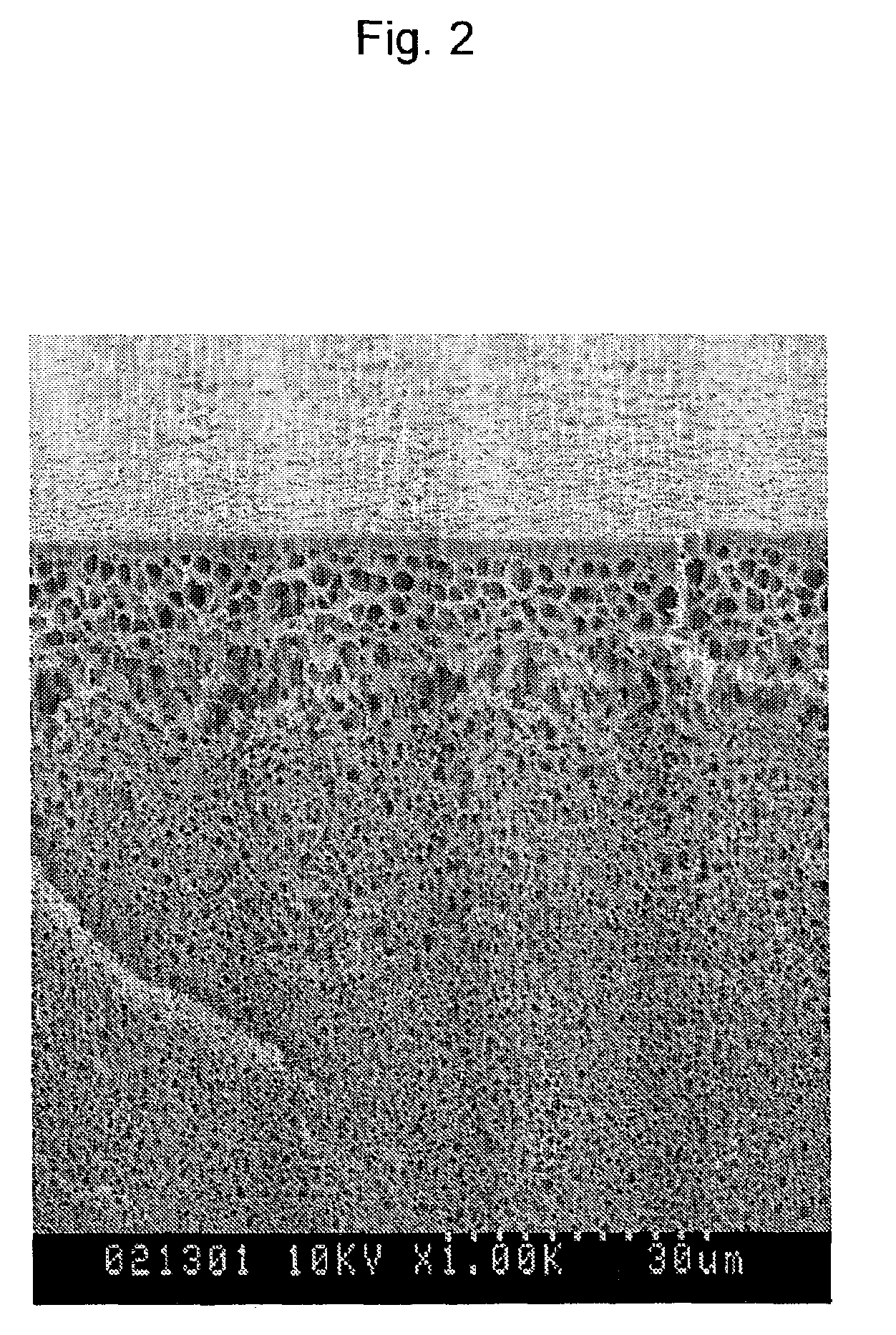 Porous membrane and method for manufacturing the same