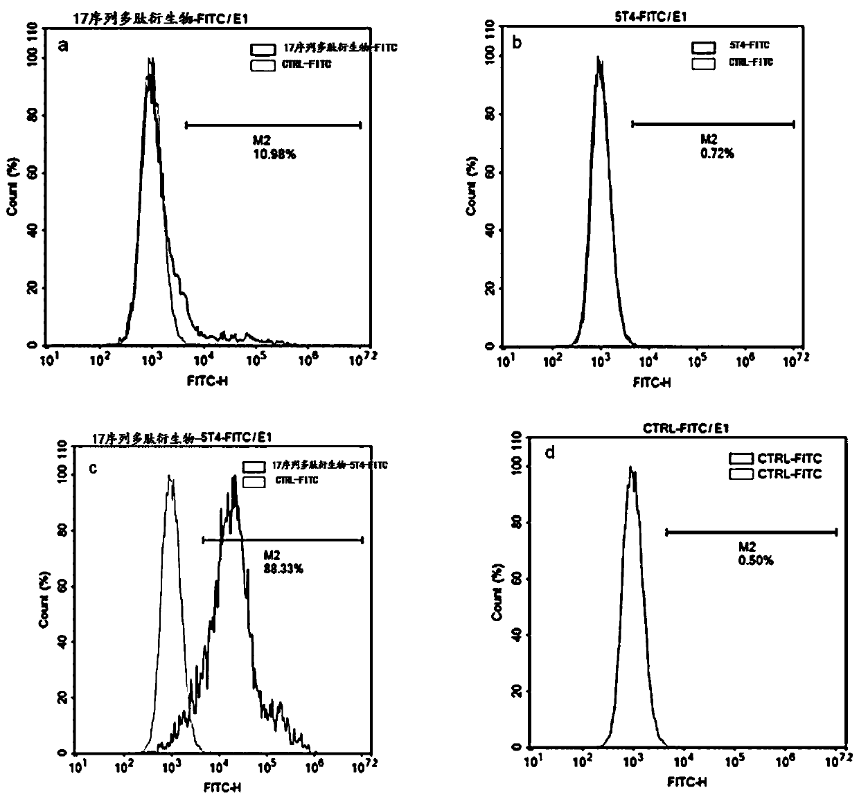 Polypeptide, polypeptide derivative, and polypeptide-antibody complex and preparation and application of polypeptide